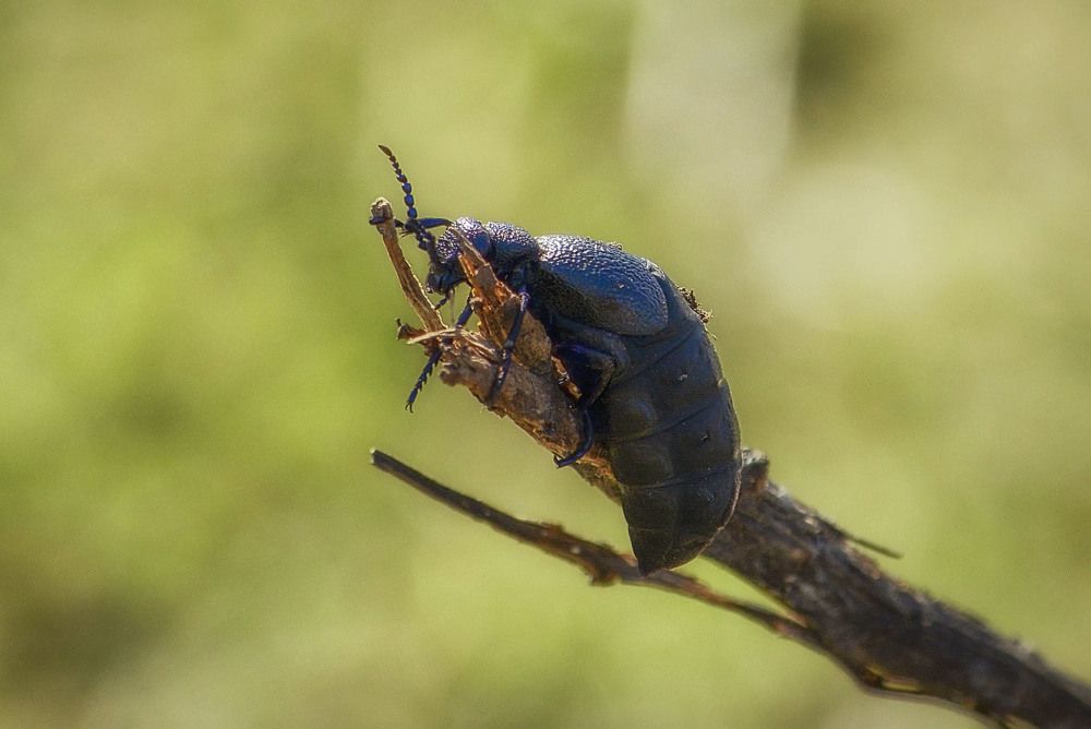 Photograph by Юлия Лушникова