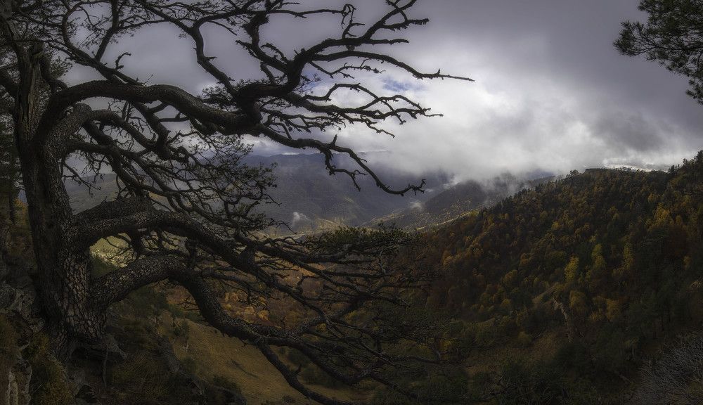 Photograph by Наргиза Кахарова