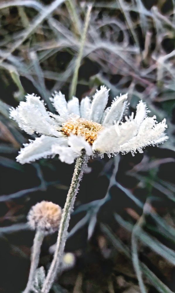 Фотография автора Виталий Петров