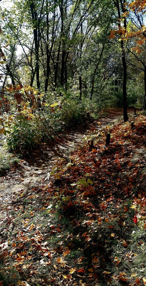 Photograph by Ольга Александрова