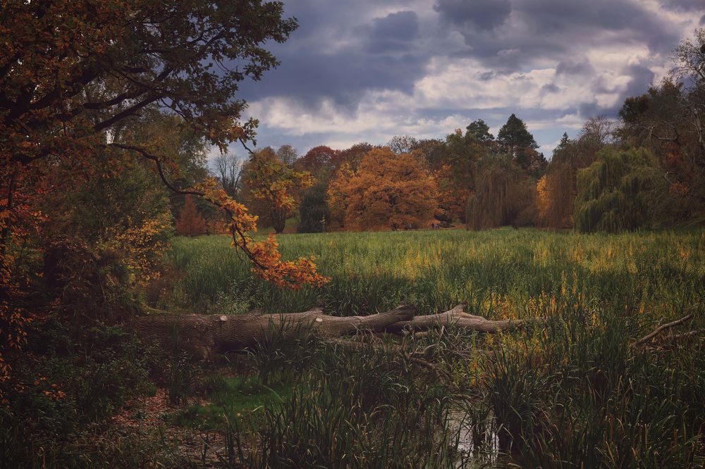 Photograph by Gabriela Ottova