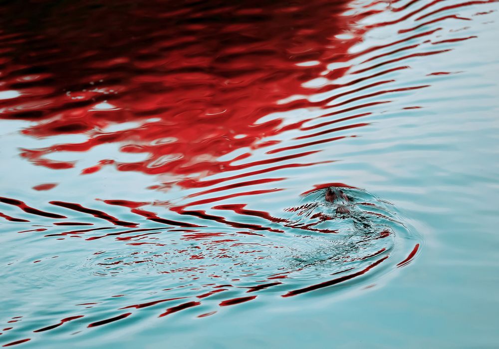 На вираже...