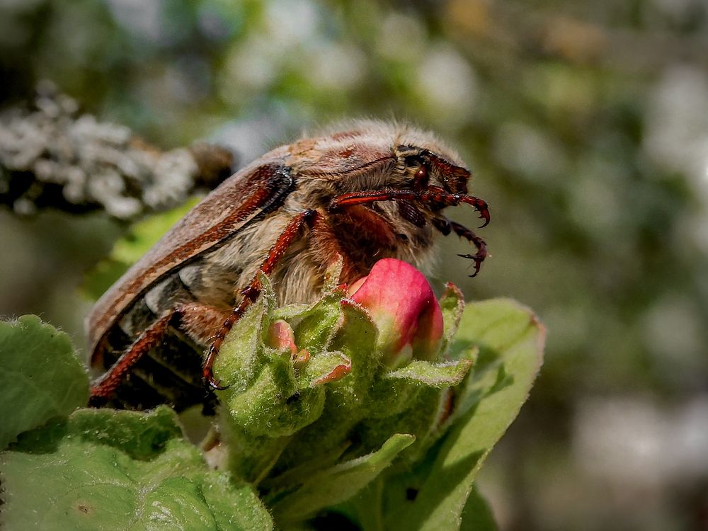 Photograph by Игорь Смирнов