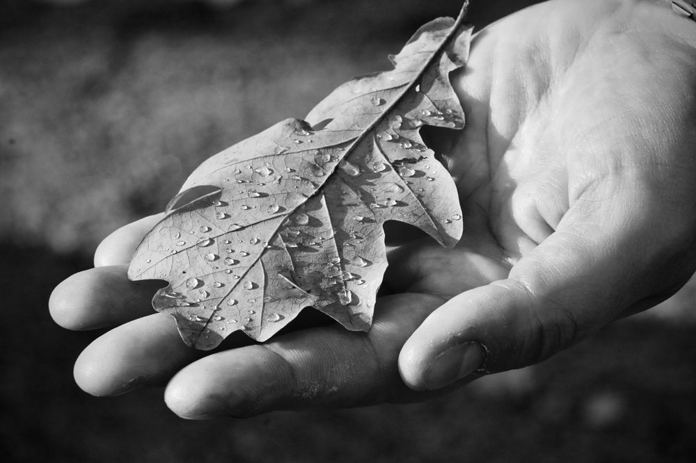 Photograph by Елена Ковалева