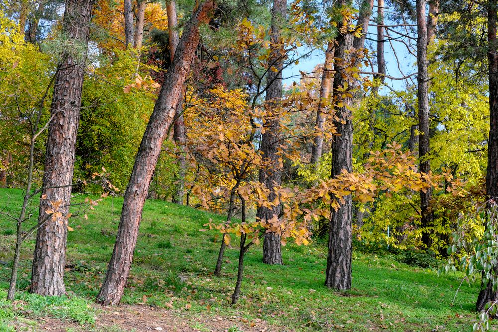 Photograph by Владимир Белобаба