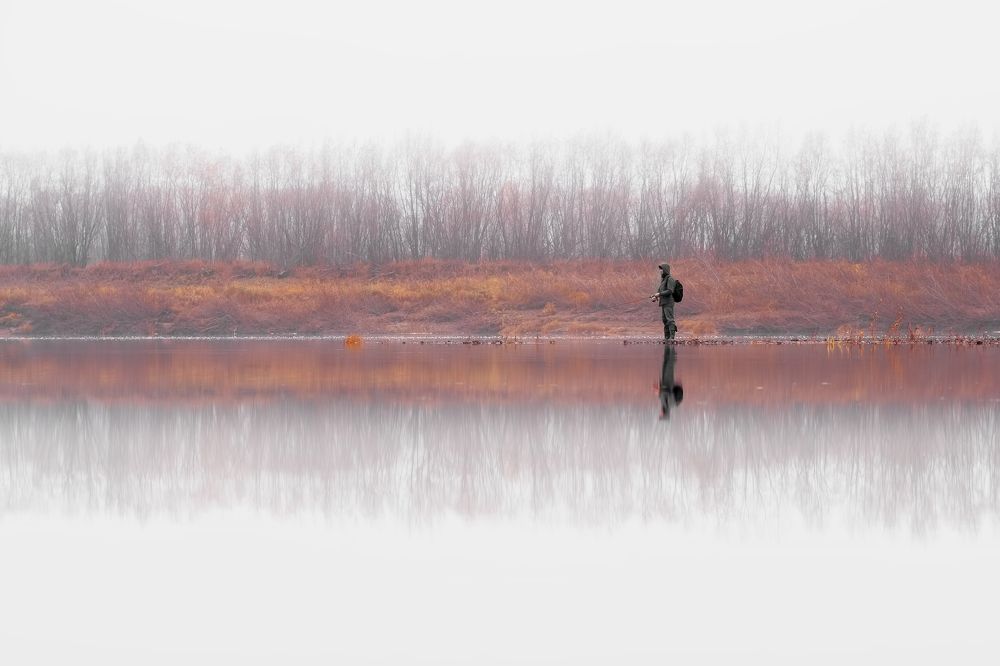 Photograph by Дмитрий Шавловский