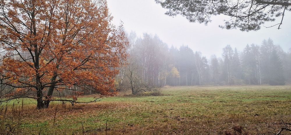 Photograph by Epp Tappel