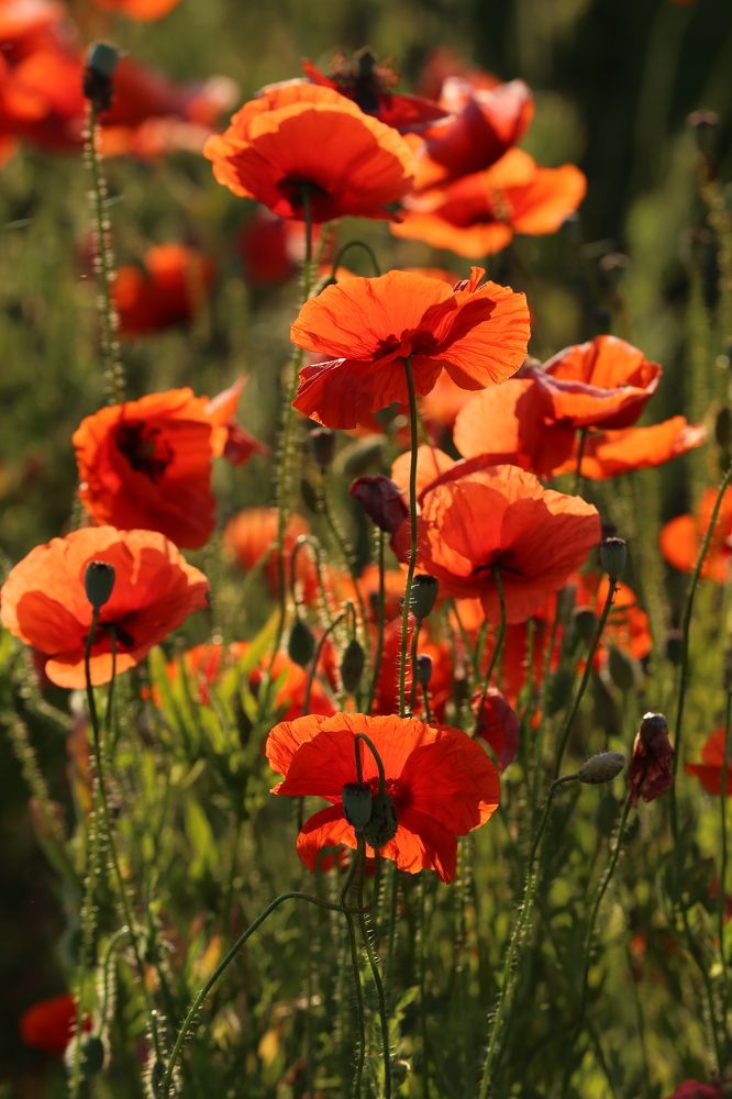 Photograph by Унку Юрий