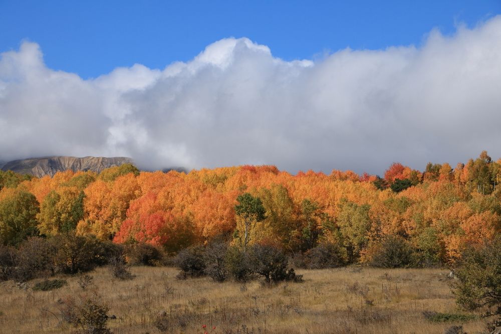 Photograph by Cengiz Yalcin