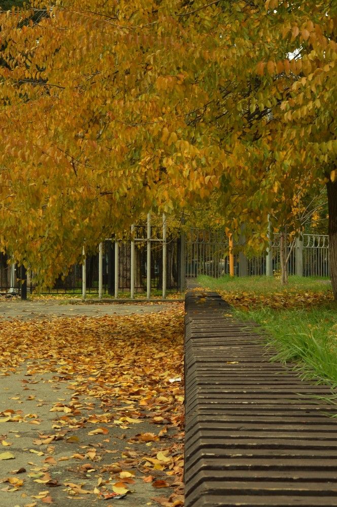 Photograph by Ольга Шевцова