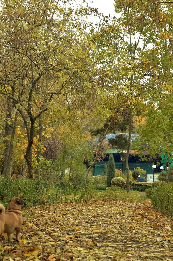 Photograph by Ольга Шевцова