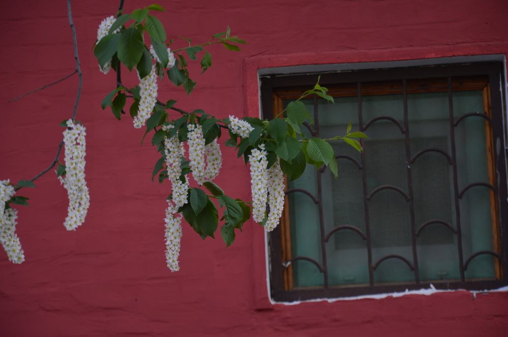 Photograph by Ольга Шевцова