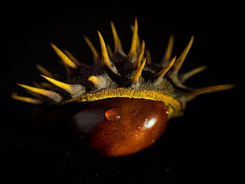 Фотография автора Рамзия Хисамутдинова