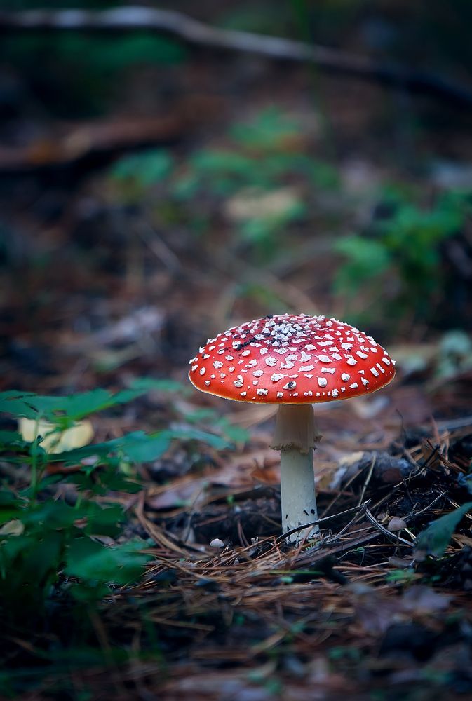 Photograph by Николай Кузнецов