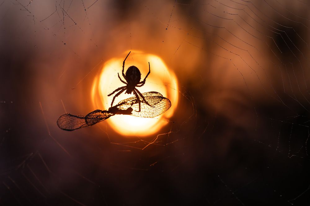 Photograph by Виктор