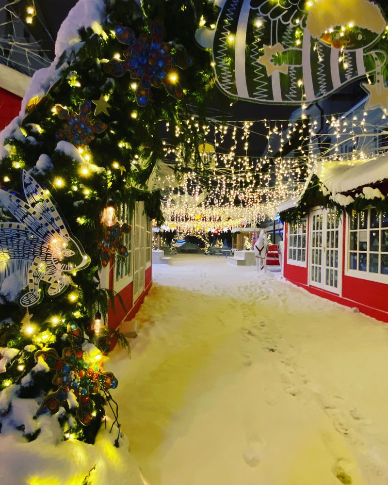 Photograph by Дарья Михайловна