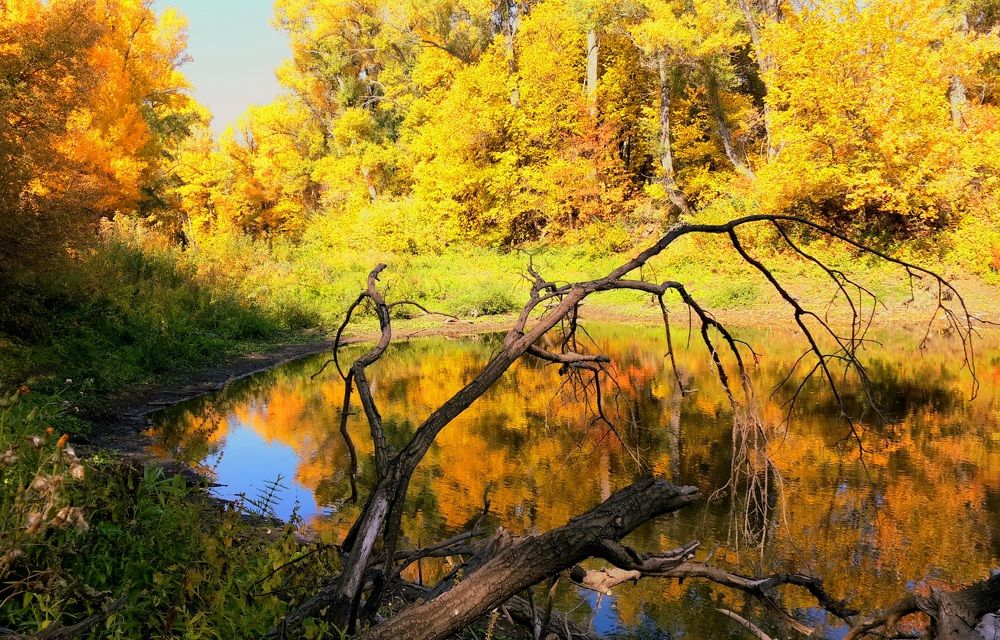 Photograph by Наталья Анисимова