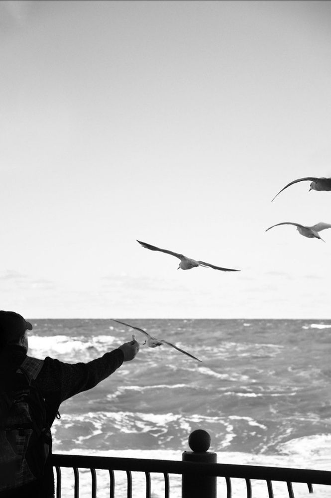 Photograph by Алена Жирова