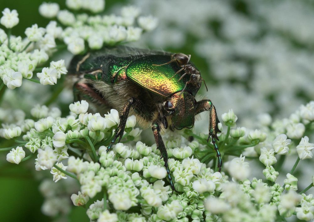 Photograph by Сергей Харитон