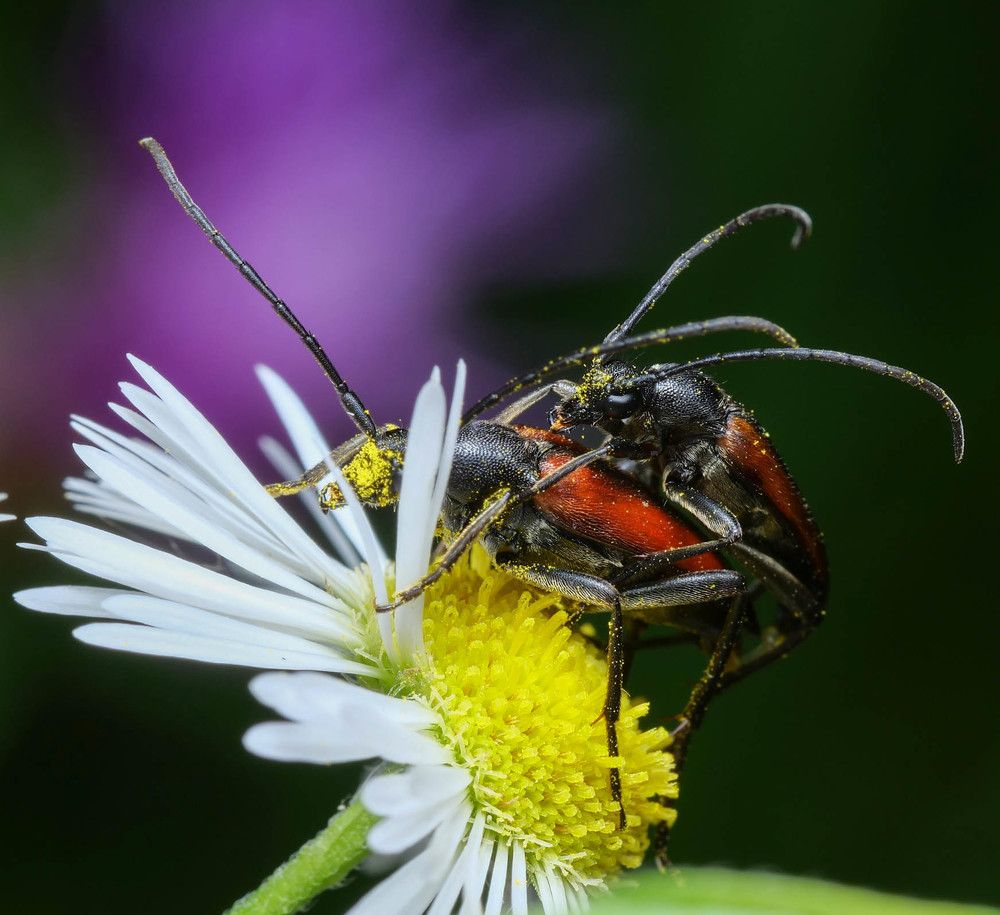 Photograph by Сергей Харитон