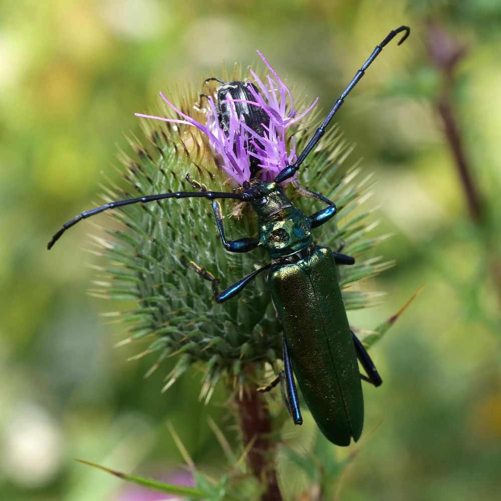 Photograph by Сергей Харитон