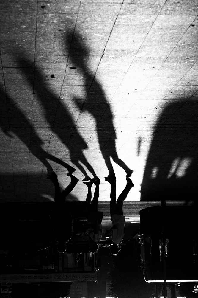 Photograph by Крапивина Татьяна