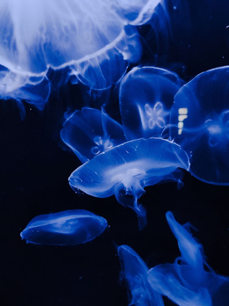 Photograph by Ирина Тушева