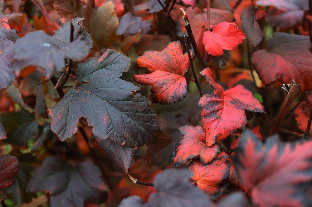 Photograph by Сергей Харитон