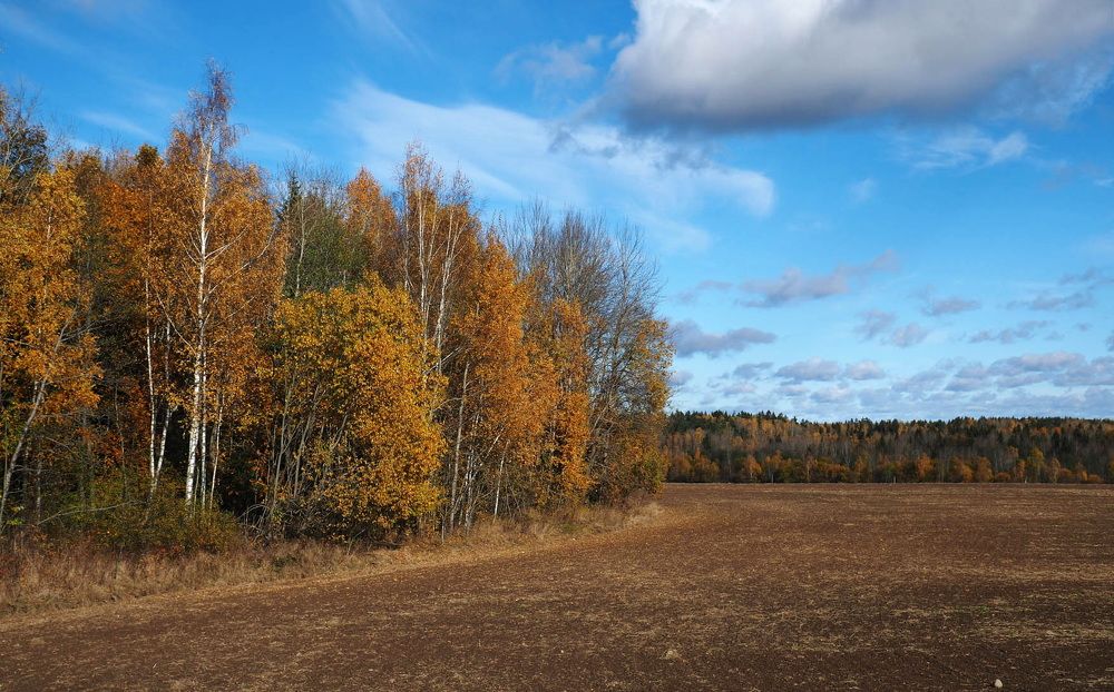 Photograph by Сергей Харитон