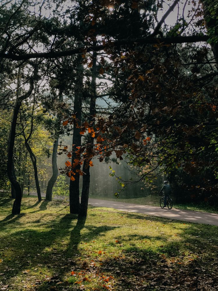 Photograph by Юстина Безух