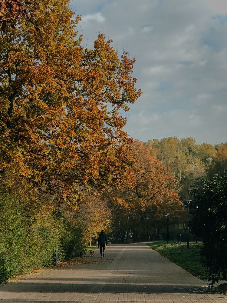 Photograph by Юстина Безух