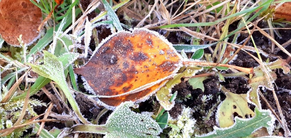 Photograph by Евгения Ульянова