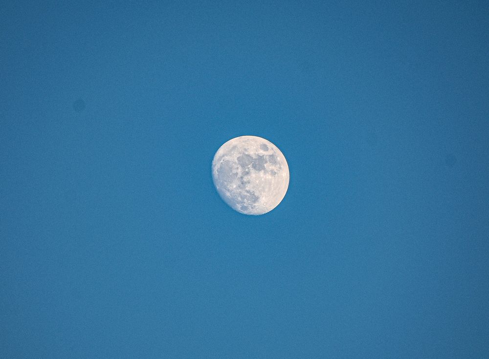 Фотография автора ANKIT GHOSH