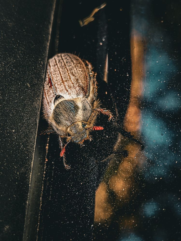 Photograph by Влад Апанасов