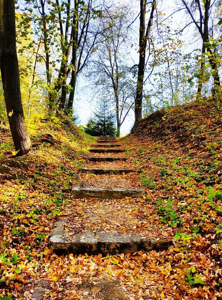 Photograph by Олеся