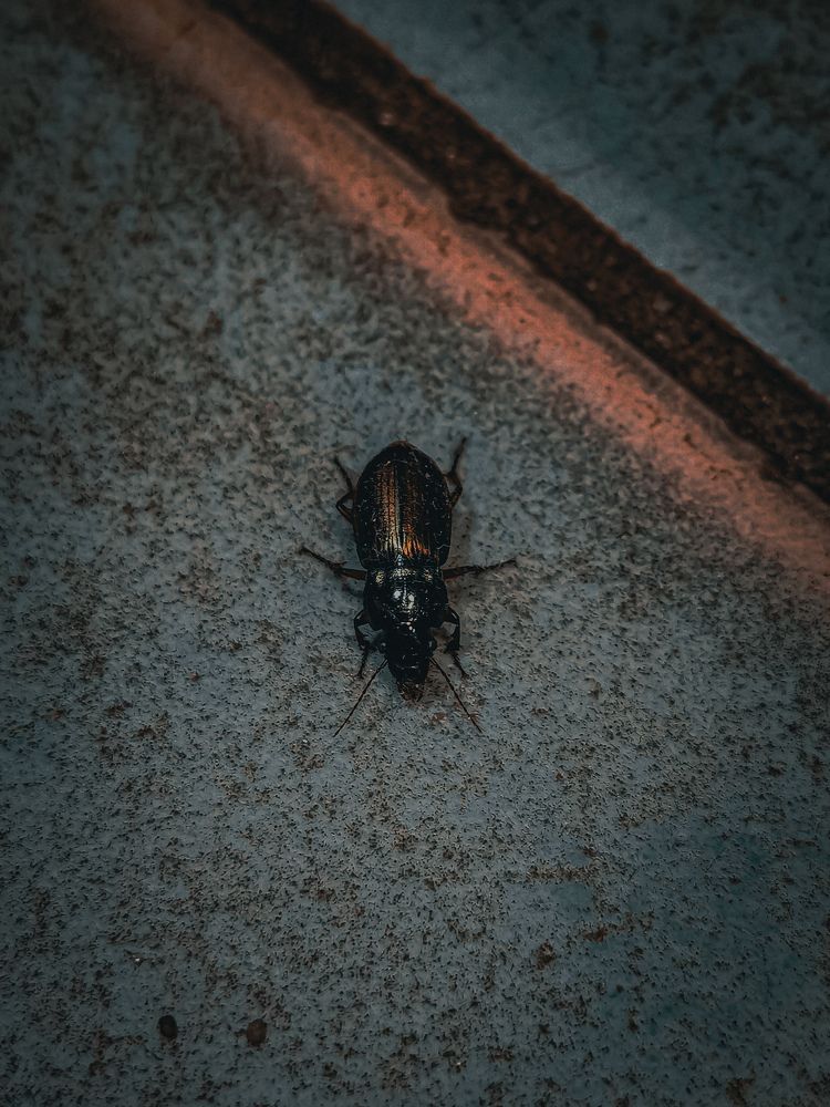 Photograph by Влад Апанасов