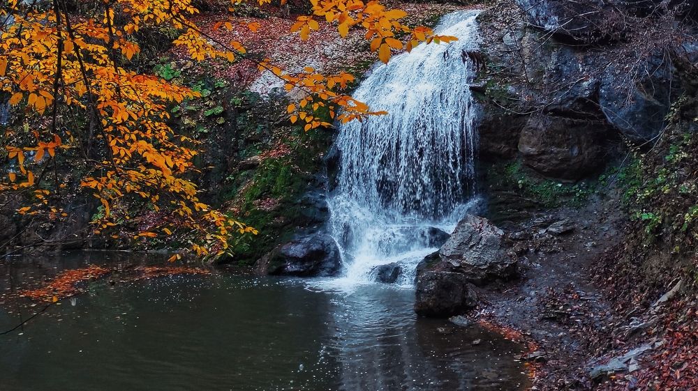 Photograph by Владимир Караман