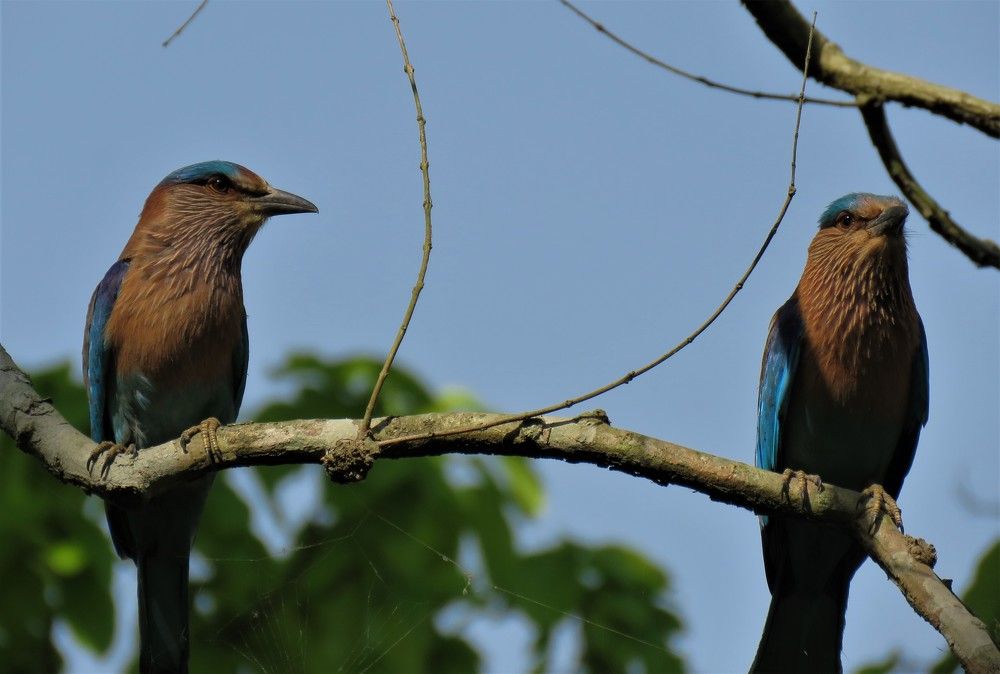 Photograph by ANISH BISWAS