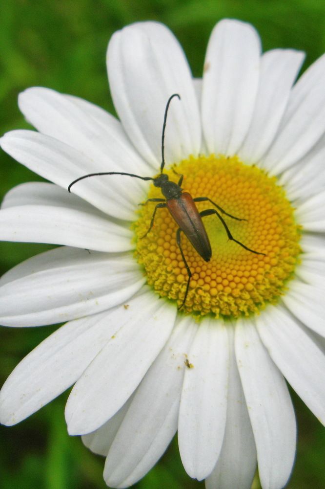 Photograph by Тимофей Петров