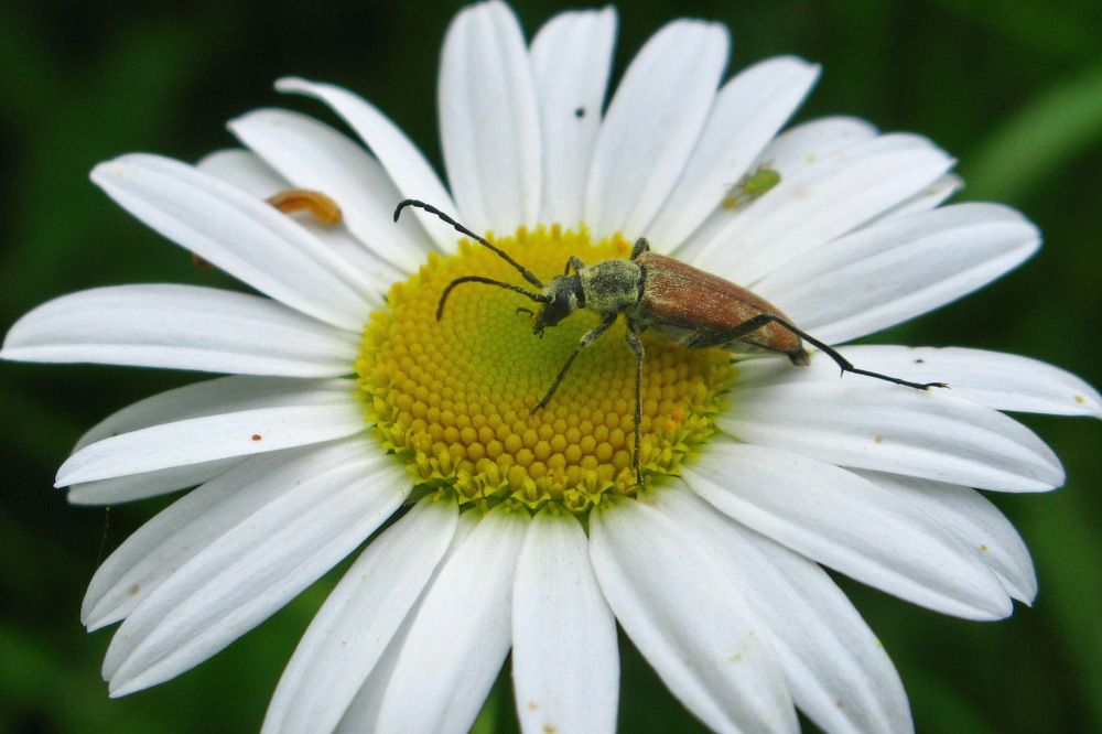 Photograph by Тимофей Петров