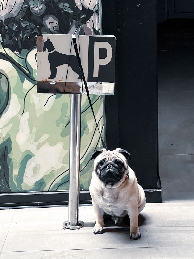 Photograph by Юлия Смирнова