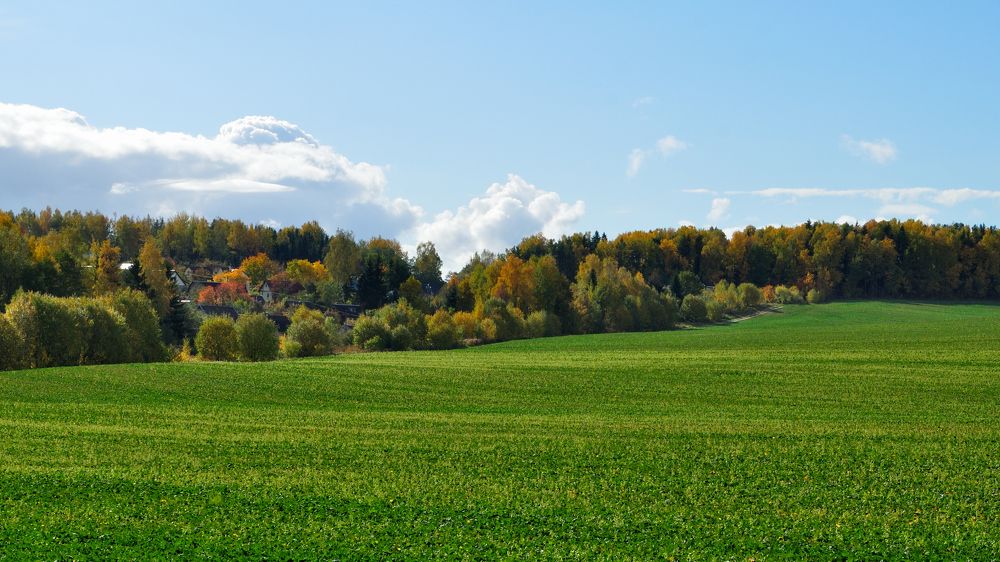 Photograph by Евгений