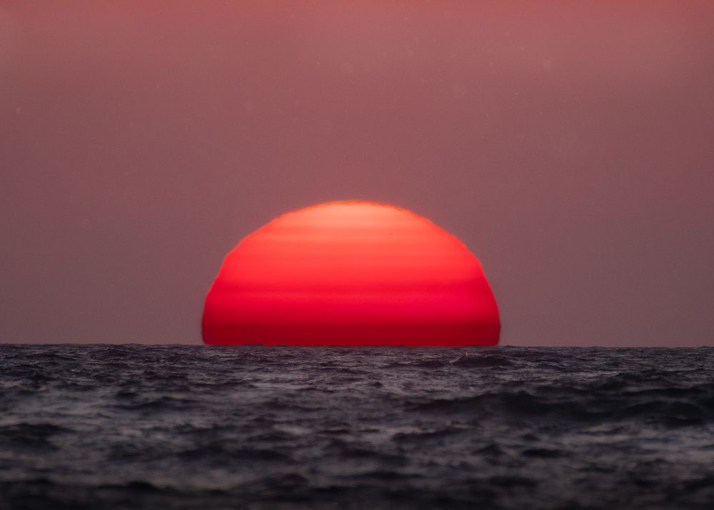 Photograph by Тамара Вотинцева