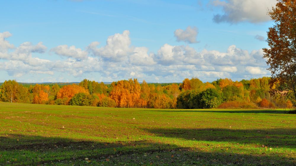 Photograph by Евгений