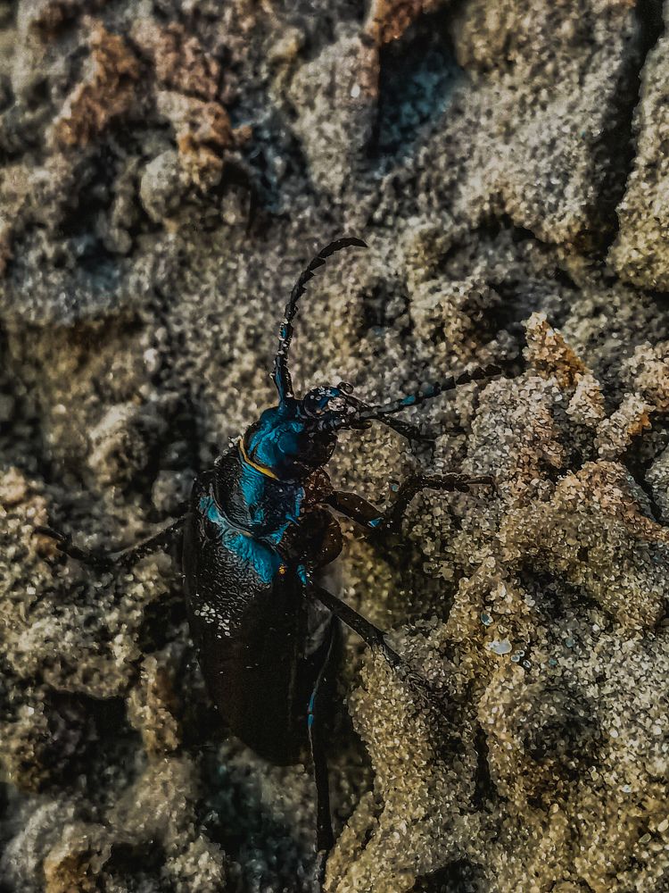 Photograph by Влад Апанасов