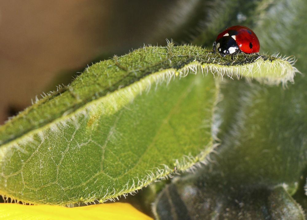 Фотография автора Ghadir Vaghari
