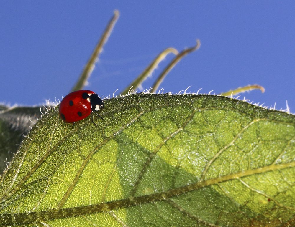Фотография автора Ghadir Vaghari