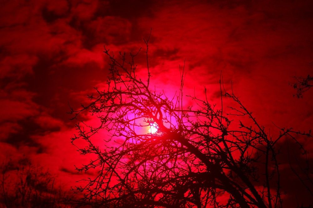 Фотография автора Геннадий Титов