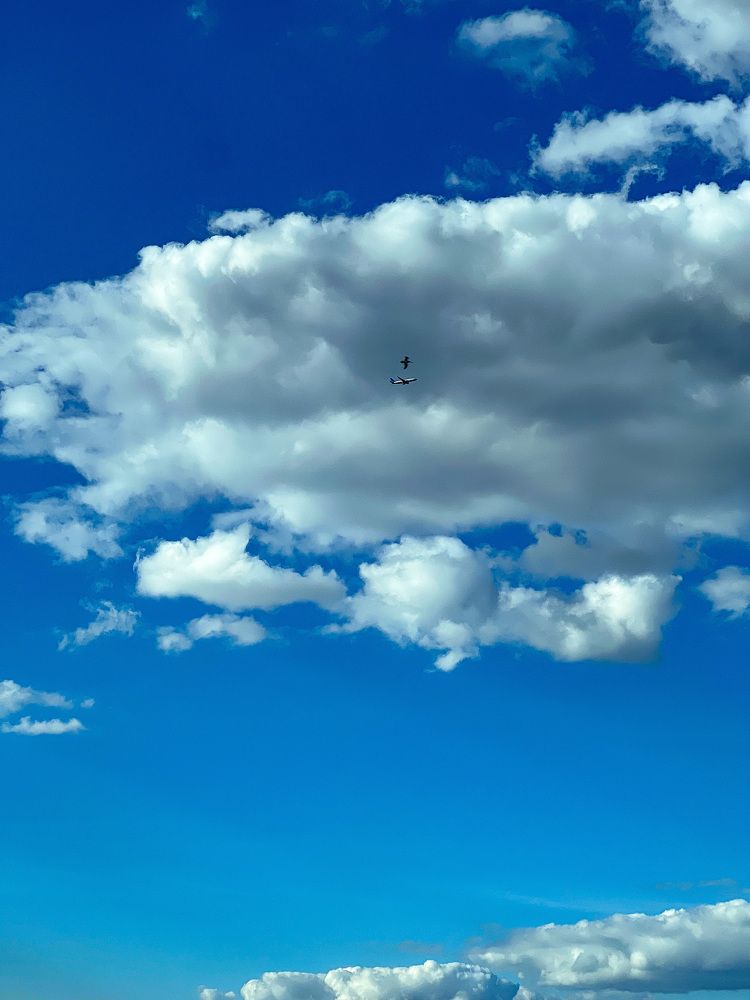 Photograph by Елена Сиушова