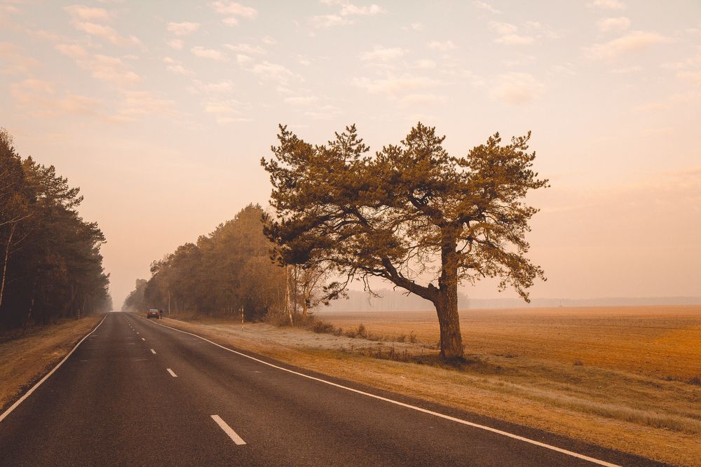 Photograph by Галина Кочеткова